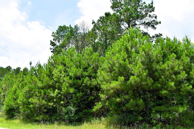 238 County Road 3545, Cleveland, TX 77327 - photo 5