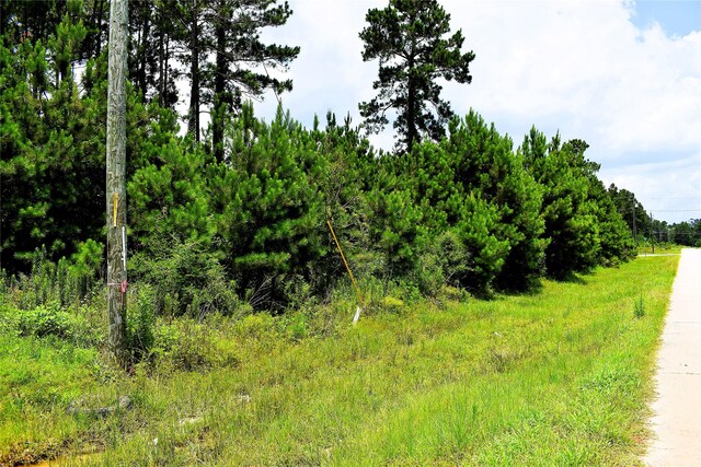 238 County Road 3545, Cleveland, TX 77327 - photo 7