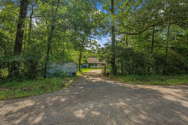14024 Walding Woods Dr, Montgomery, TX 77356 - photo 6