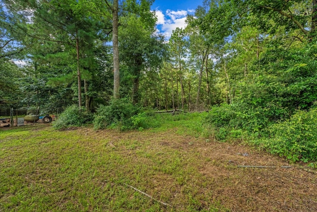 14024 Walding Woods Dr, Montgomery, TX 77356 - photo 22