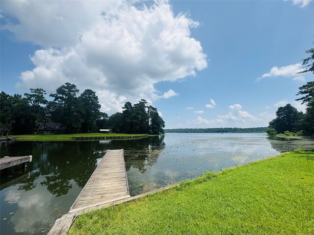 14024 Walding Woods Dr, Montgomery, TX 77356 - photo 32
