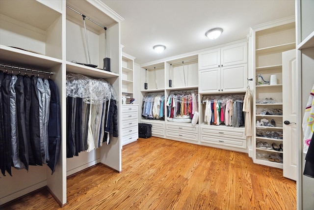 8518 Prichett Dr, Houston, TX 77096 - walk in closet with light wood-type flooring