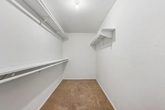 6315 Dellfern Dr, Houston, TX 77035 - spacious closet featuring carpet floors