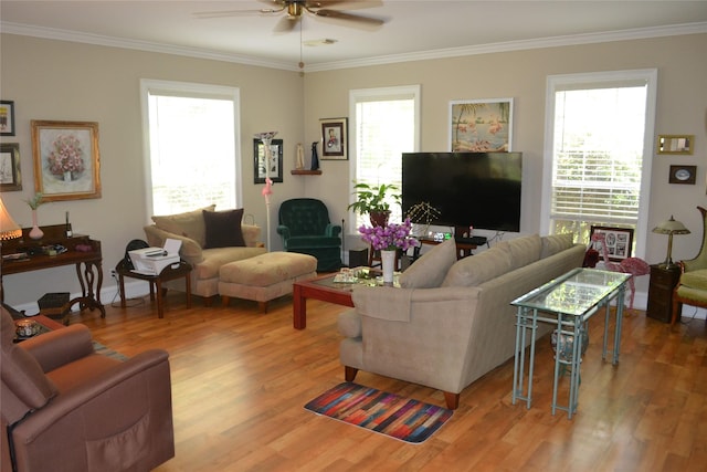 11014 Indian Trails Dr, Tomball, TX 77375 - living room featuring ceiling fan, ornamental molding, light wood finished floors, and healthy amount of natural light