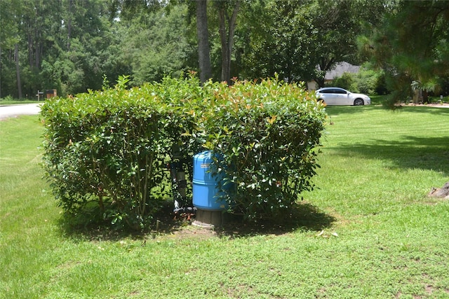 11014 Indian Trails Dr, Tomball, TX 77375 - view of green lawn