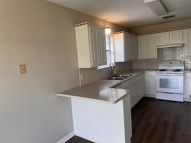 9412 Riviera Dr, Waco, TX 76712 - kitchen featuring white electric range oven, tasteful backsplash, dark wood-type flooring, a peninsula, and a textured ceiling