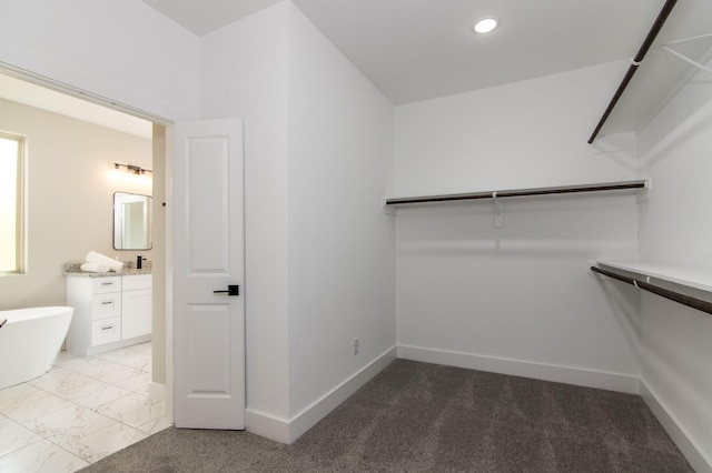 4910 Wunder Way, Houston, TX 77069 - walk in closet with light carpet