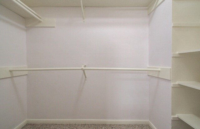 3618 Teakwood Ln, Pearland, TX 77584 - spacious closet with carpet floors