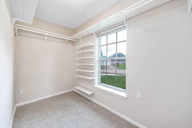 915 W Primrose Meadows Cir, Pearland, TX 77584 - photo 23