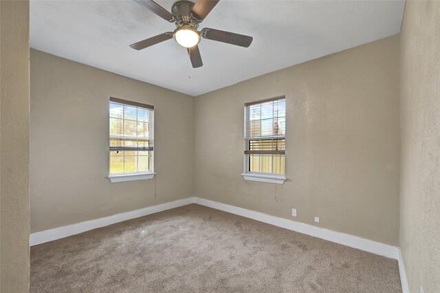 6825 Appleton St, Houston, TX 77022 - photo 16