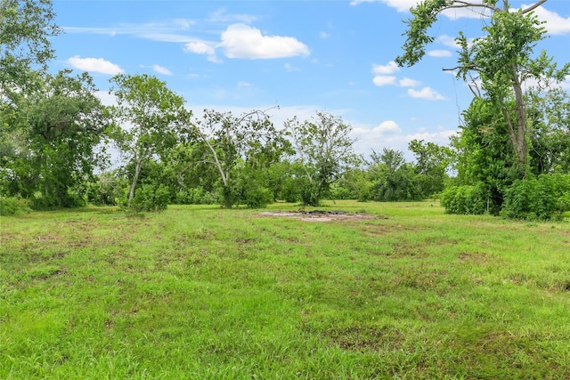 318 Primrose Rd, Jones Creek, TX 77541 - view of yard