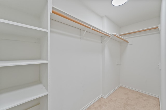 6711 Walton Heath Dr, Houston, TX 77069 - walk in closet featuring carpet floors