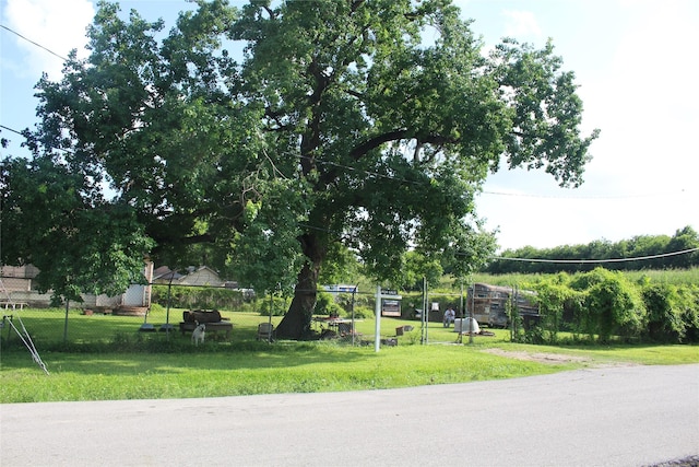 7902 Wiggins St, Houston, TX 77029 - view of green lawn