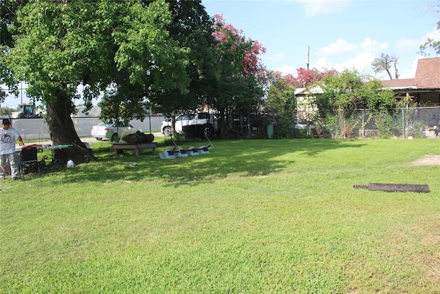 7902 Wiggins St, Houston, TX 77029 - view of yard