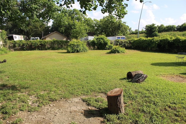 7902 Wiggins St, Houston, TX 77029 - view of green lawn