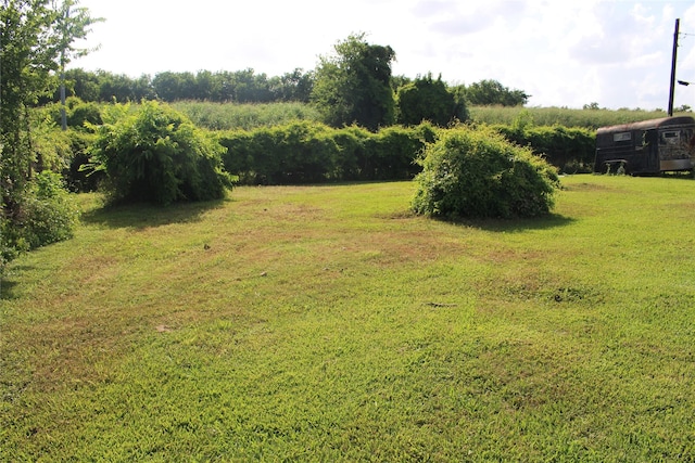 7902 Wiggins St, Houston, TX 77029 - view of green lawn