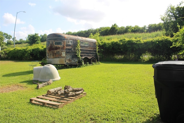 7902 Wiggins St, Houston, TX 77029 - view of green lawn