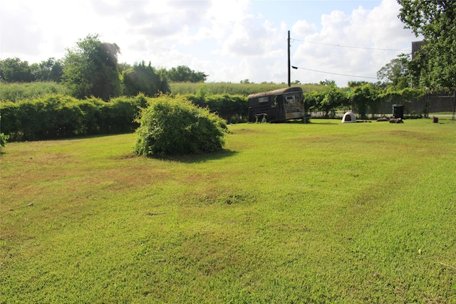 7902 Wiggins St, Houston, TX 77029 - view of green lawn