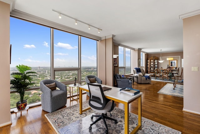 5100 San Felipe St Unit 353, Houston, TX 77056 - office space featuring ornamental molding, rail lighting, a baseboard radiator, and wood finished floors