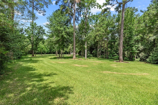 25010 Butler Hill Ct, Tomball, TX 77375 - view of grassy yard