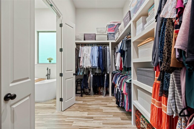 25010 Butler Hill Ct, Tomball, TX 77375 - spacious closet with wood finished floors