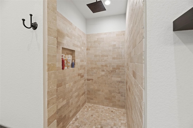 25010 Butler Hill Ct, Tomball, TX 77375 - bathroom featuring tiled shower