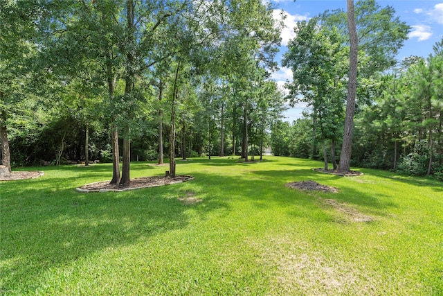 25010 Butler Hill Ct, Tomball, TX 77375 - view of grassy yard