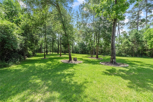 25010 Butler Hill Ct, Tomball, TX 77375 - view of grassy yard