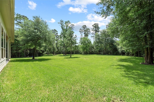 25010 Butler Hill Ct, Tomball, TX 77375 - view of green lawn featuring view of scattered trees