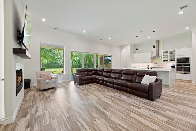 25010 Butler Hill Ct, Tomball, TX 77375 - living room with a warm lit fireplace, recessed lighting, light wood finished floors, and crown molding