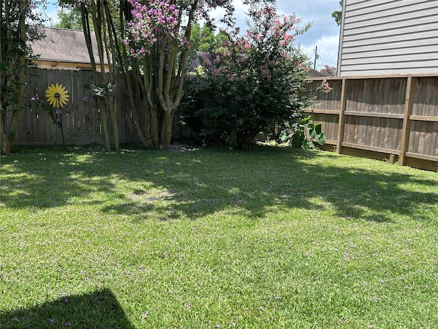 1012 Joyce St, Houston, TX 77009 - view of fenced yard
