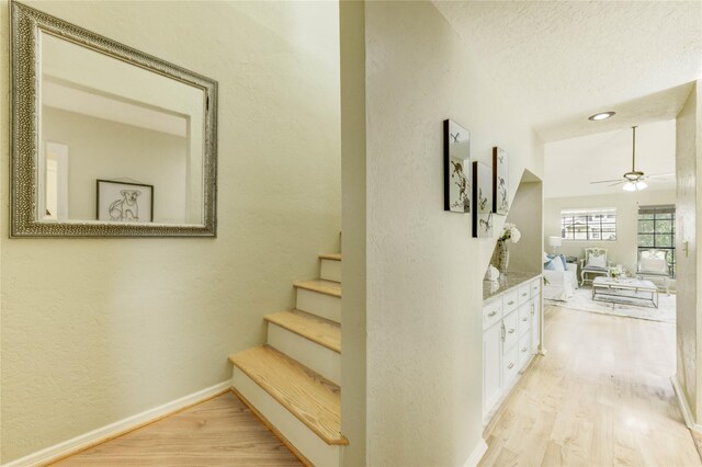 4900 Floyd St Unit 15, Houston, TX 77007 - photo 12