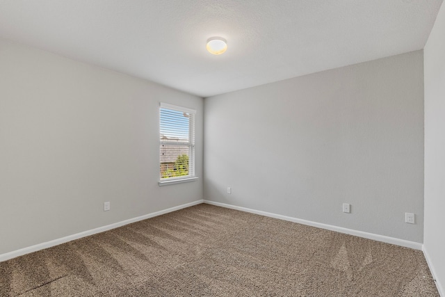 12123 Parade Park Pl, Houston, TX 77047 - photo 20