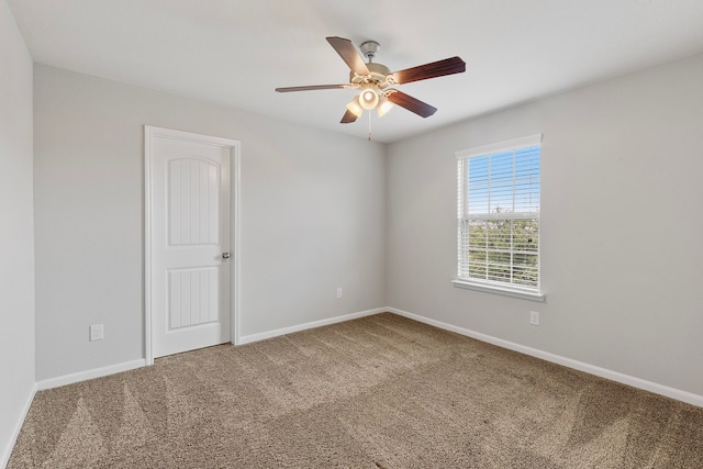 12123 Parade Park Pl, Houston, TX 77047 - photo 26