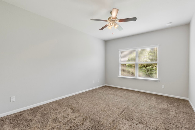 12123 Parade Park Pl, Houston, TX 77047 - photo 27