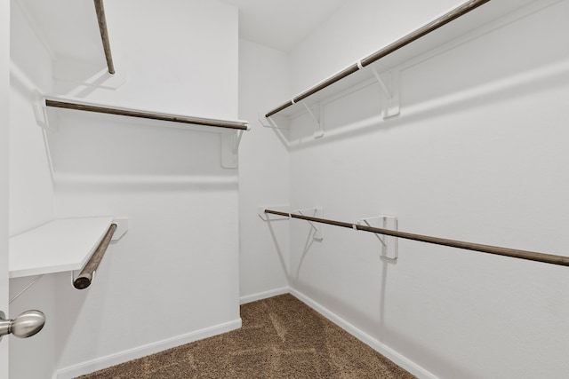 12123 Parade Park Pl, Houston, TX 77047 - photo 15