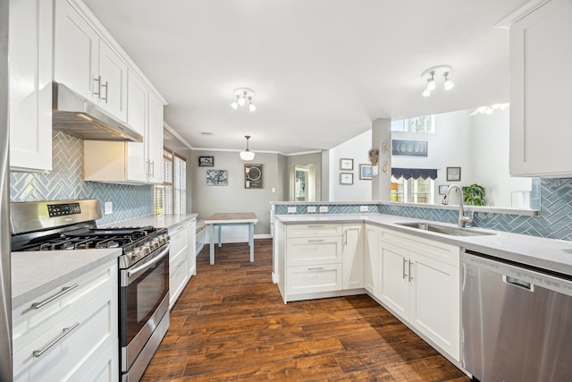 3282 Bend Cove Ct, League City, TX 77573 - kitchen featuring stainless steel appliances, under cabinet range hood, light countertops, backsplash, and a peninsula