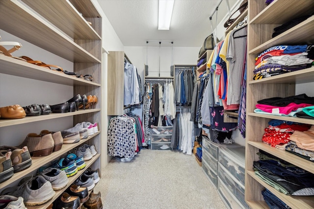 1507 Biondo Way, Houston, TX 77008 - walk in closet featuring carpet flooring