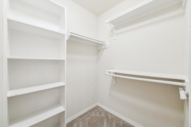 831 W 26th St, Houston, TX 77008 - spacious closet featuring carpet flooring