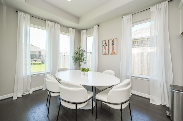 24311 Orley Island Ct, Katy, TX 77493 - dining room with dark wood-type flooring and a raised ceiling