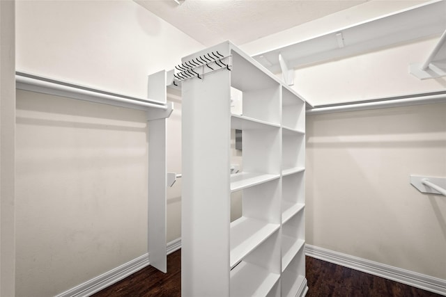 7943 Scenic Canyon Ln, Houston, TX 77095 - spacious closet with wood finished floors