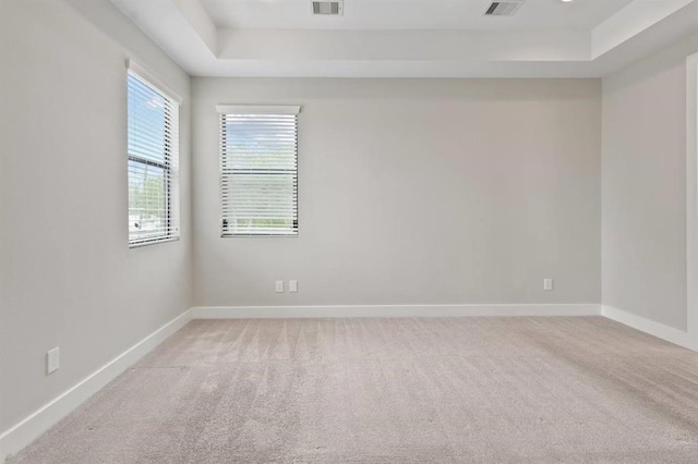5816 Gardendale Dr Unit B, Houston, TX 77092 - spare room featuring a tray ceiling and light carpet