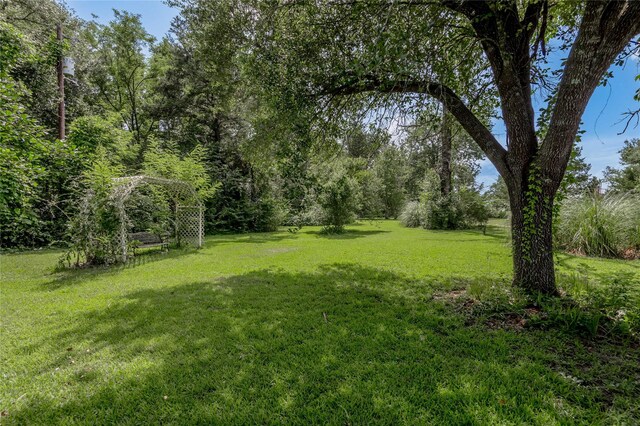 386 Holly Creek Ln, Apple Springs, TX 75926 - photo 16