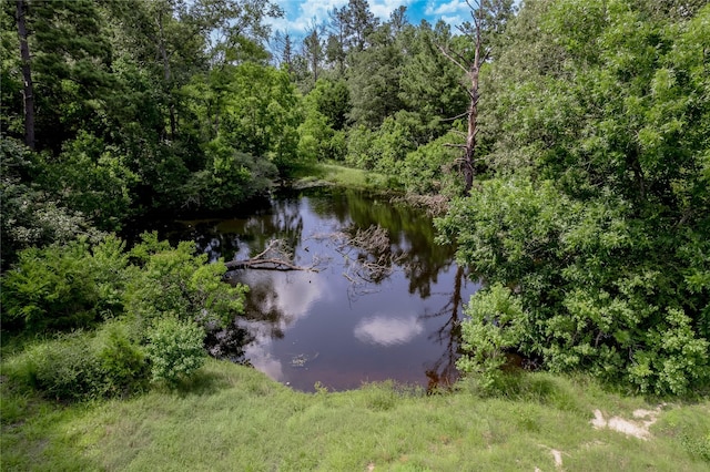 386 Holly Creek Ln, Apple Springs, TX 75926 - photo 17