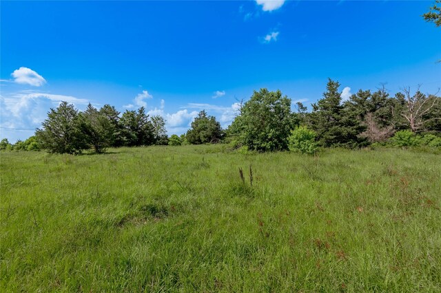 386 Holly Creek Ln, Apple Springs, TX 75926 - photo 19