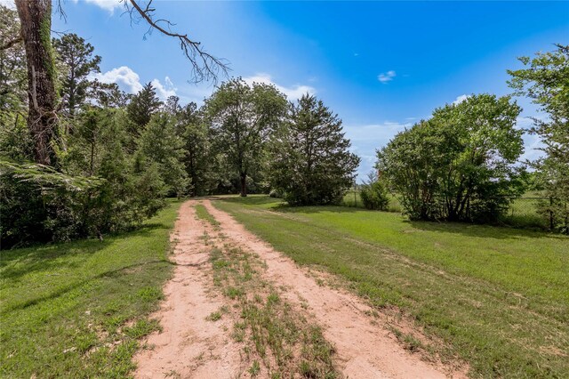 386 Holly Creek Ln, Apple Springs, TX 75926 - photo 20