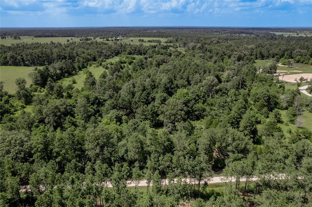 386 Holly Creek Ln, Apple Springs, TX 75926 - photo 23
