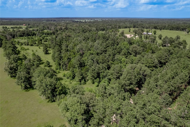 386 Holly Creek Ln, Apple Springs, TX 75926 - photo 25
