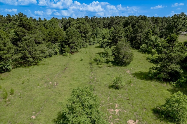 386 Holly Creek Ln, Apple Springs, TX 75926 - photo 29