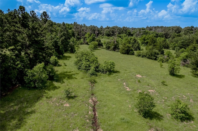 386 Holly Creek Ln, Apple Springs, TX 75926 - photo 30